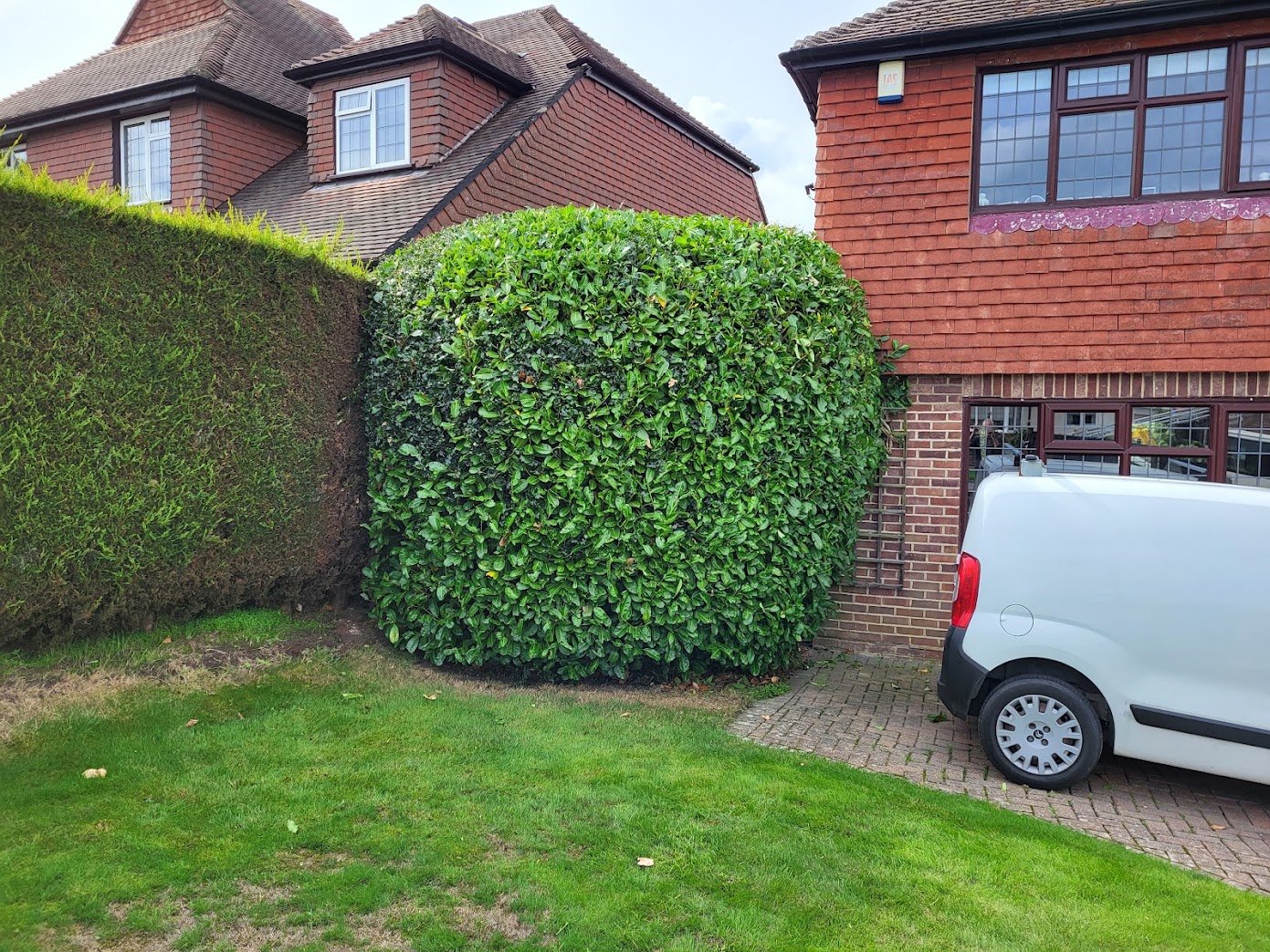 tree surgeon carrying out hedge cutting in East Grinstead