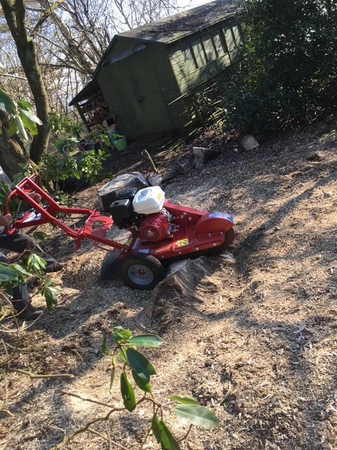 Tree Surgeon carrying out stump grinding in East Grinstead