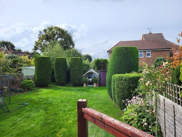 Hedge cutting in East Grinstead