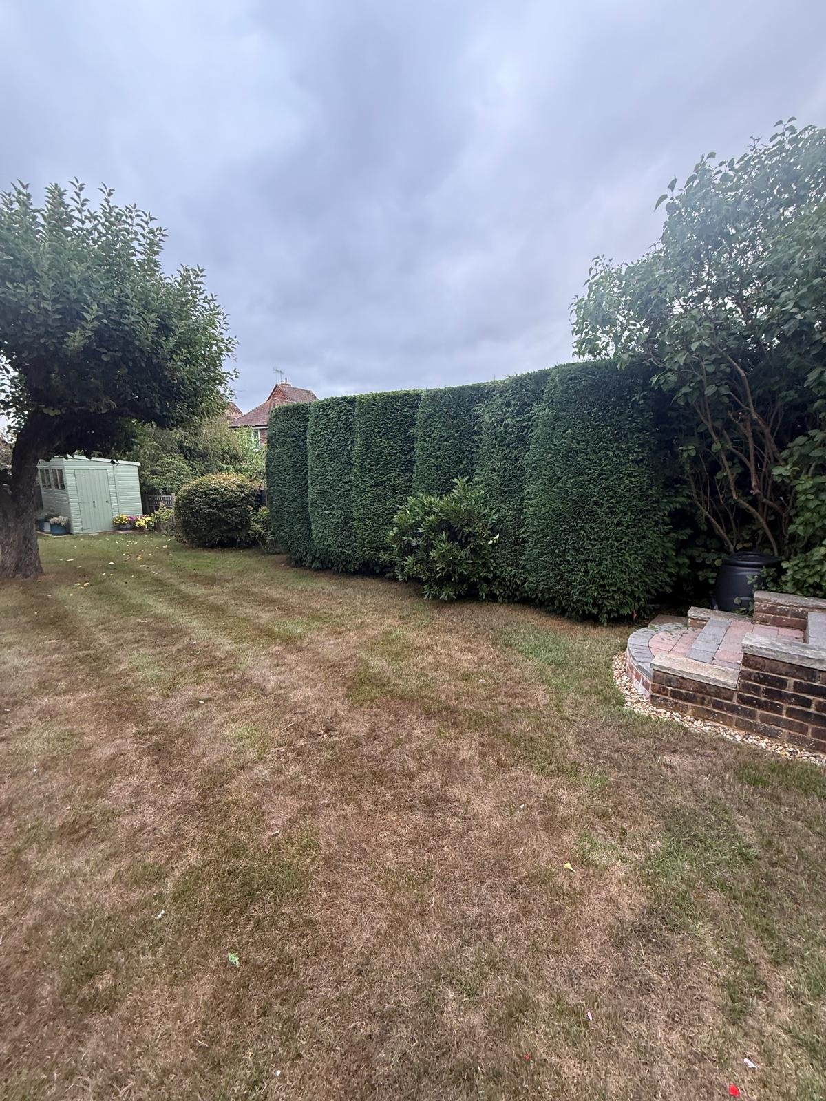 Tree surgeon carrying out hedge trimming in East Grinstead